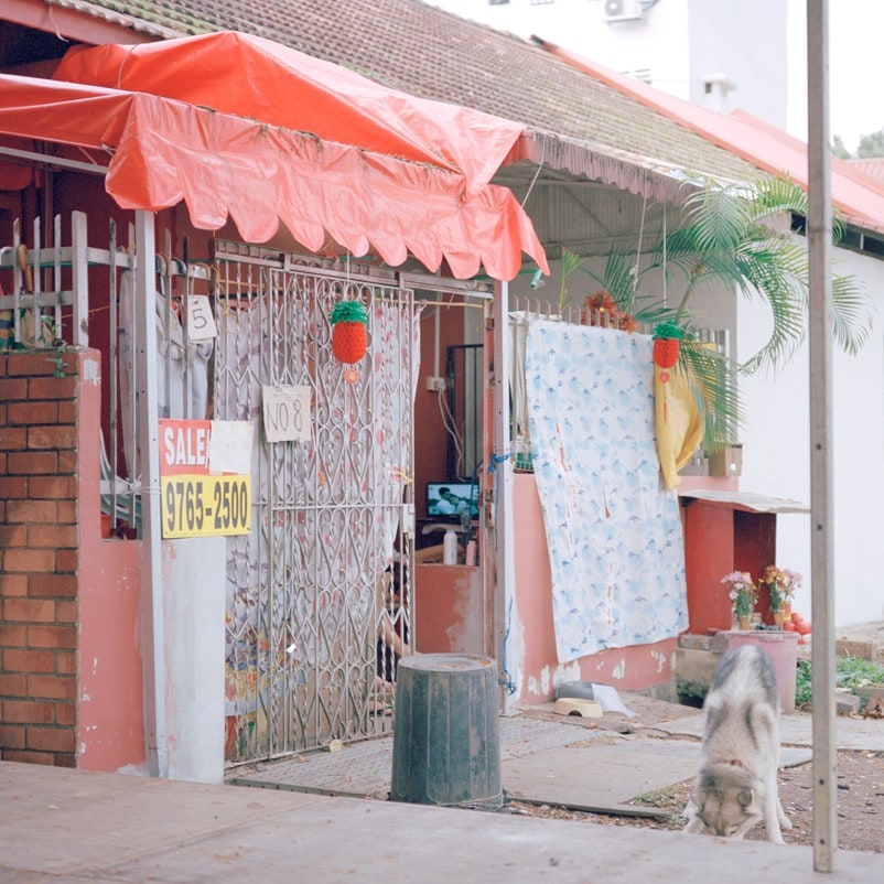 Singapore Brothels, Nguan, Dazed 7