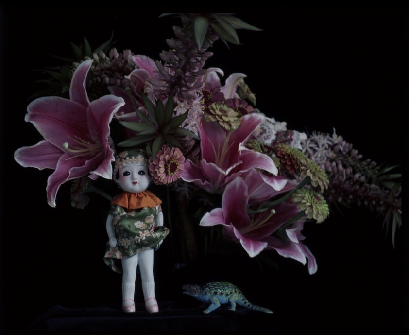 From qARADISE 2014, Nobuyoshi Araki 12