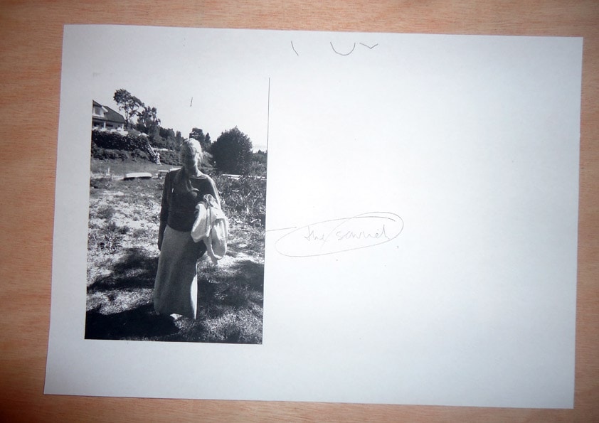 Image 7