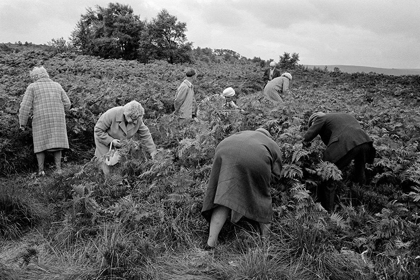 Martin Parr – Early Years 1 0