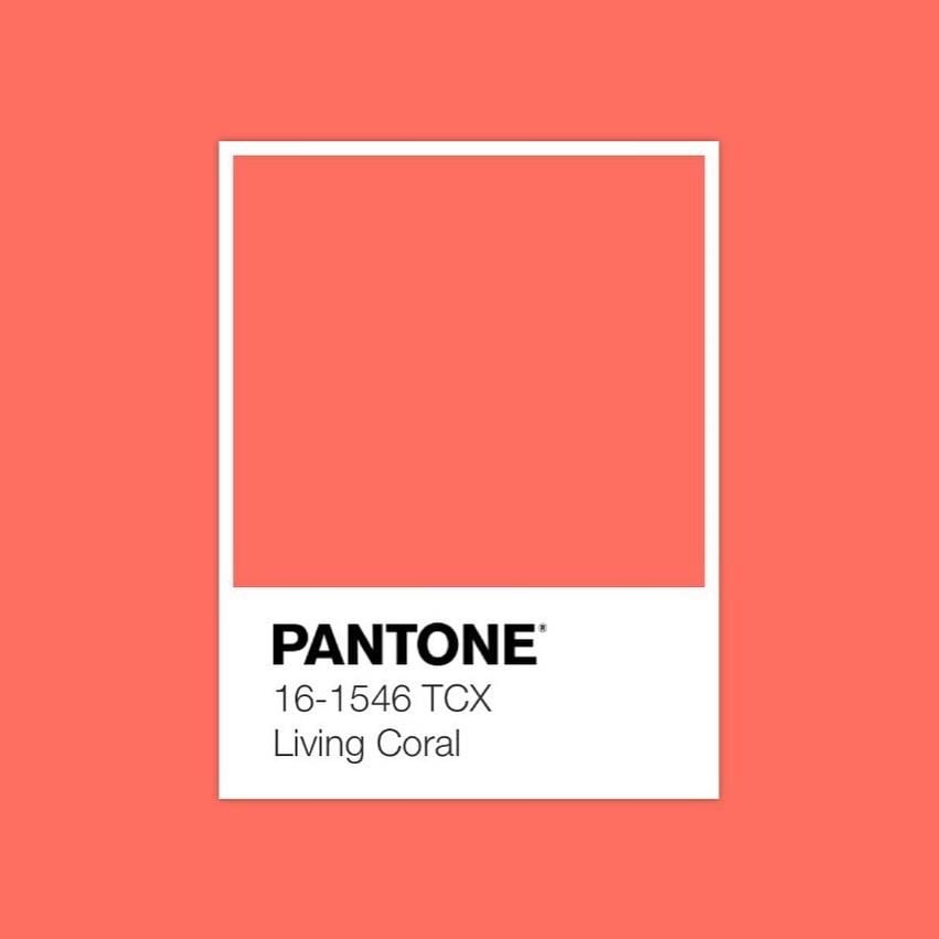 46160645_1274135896060349_356763727339739638_n