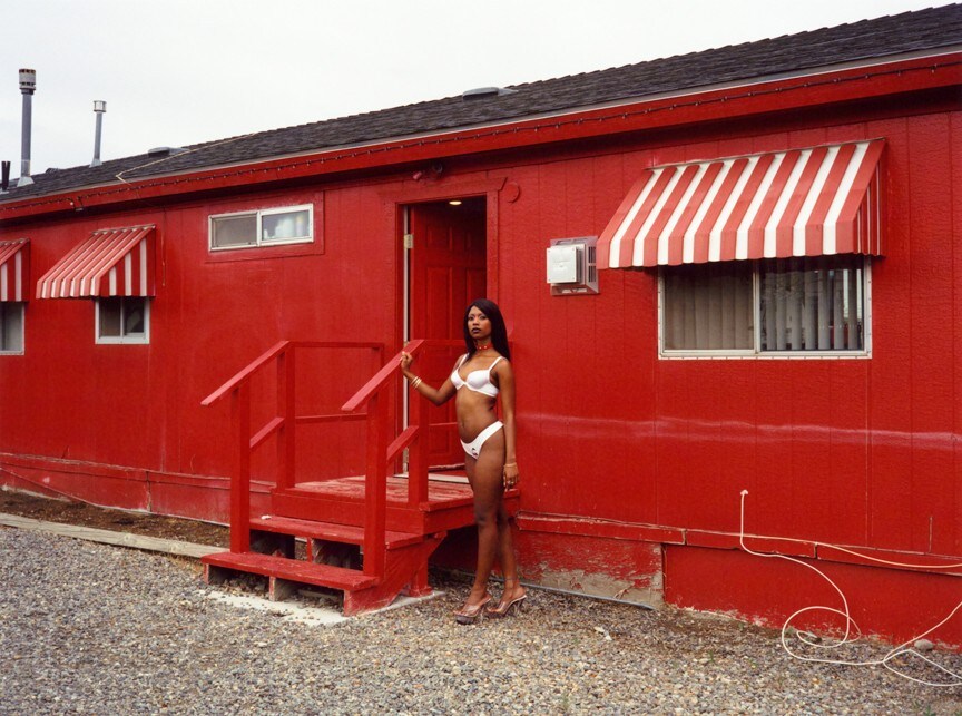 Jane Hilton&#39;s American archives Dazed States of Independence 13