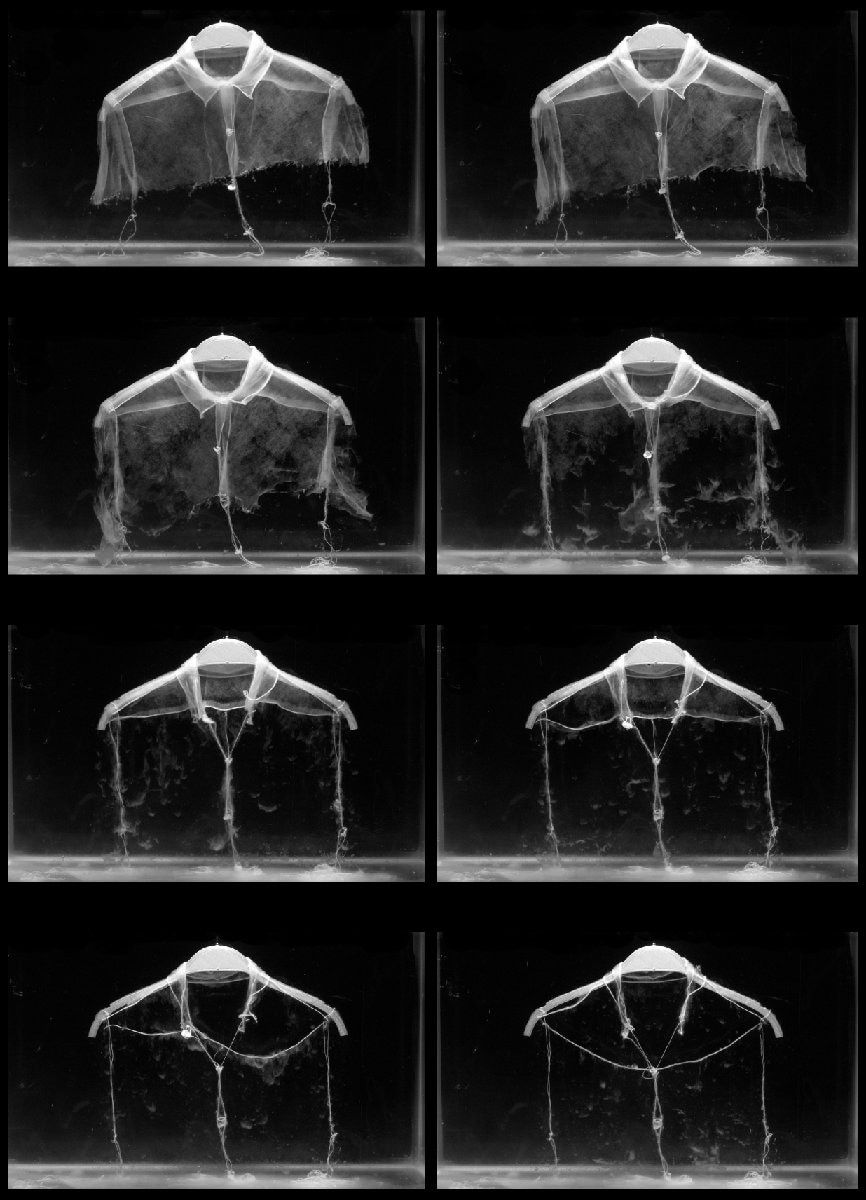 Turning point. Vincent Le Chapelain