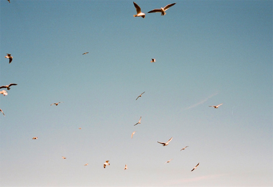 Image 17