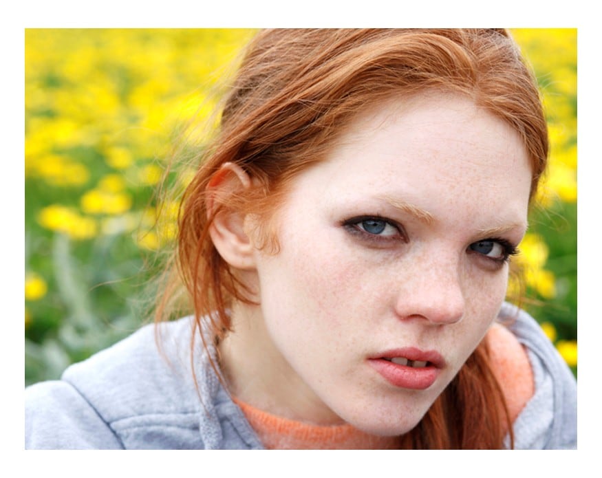 St. Teresa&#39;s Gardens 0