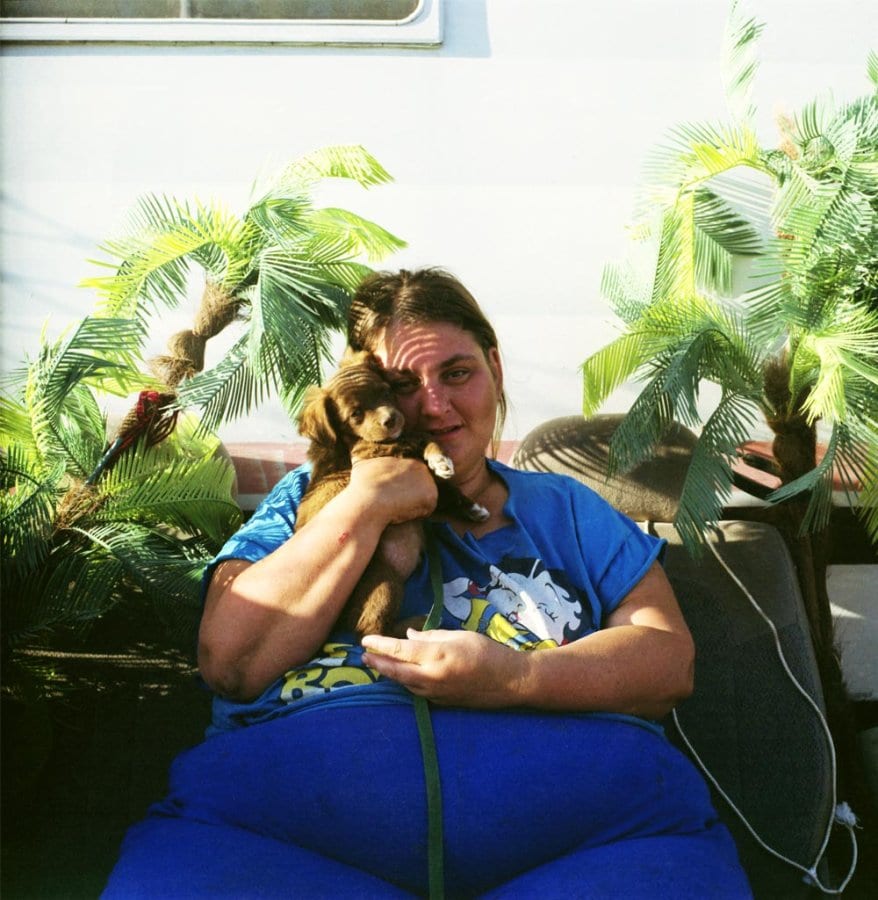 Image 7