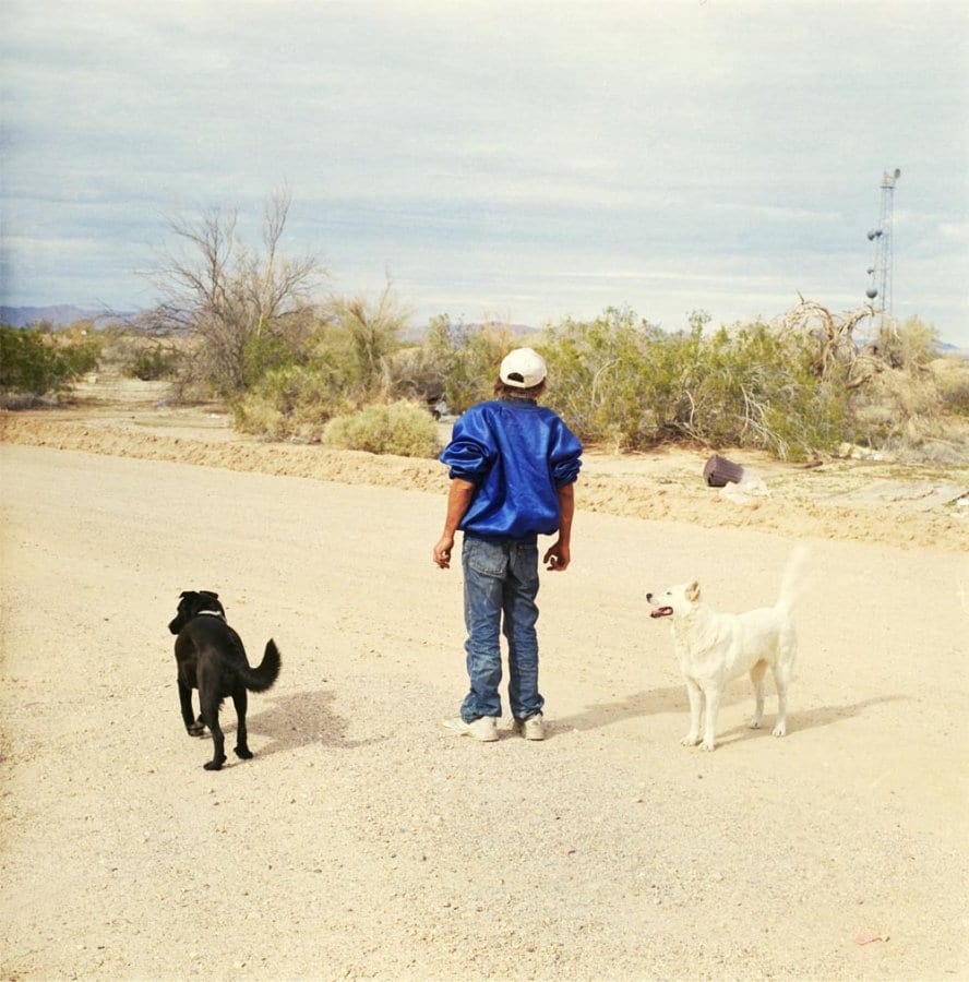 Image 6
