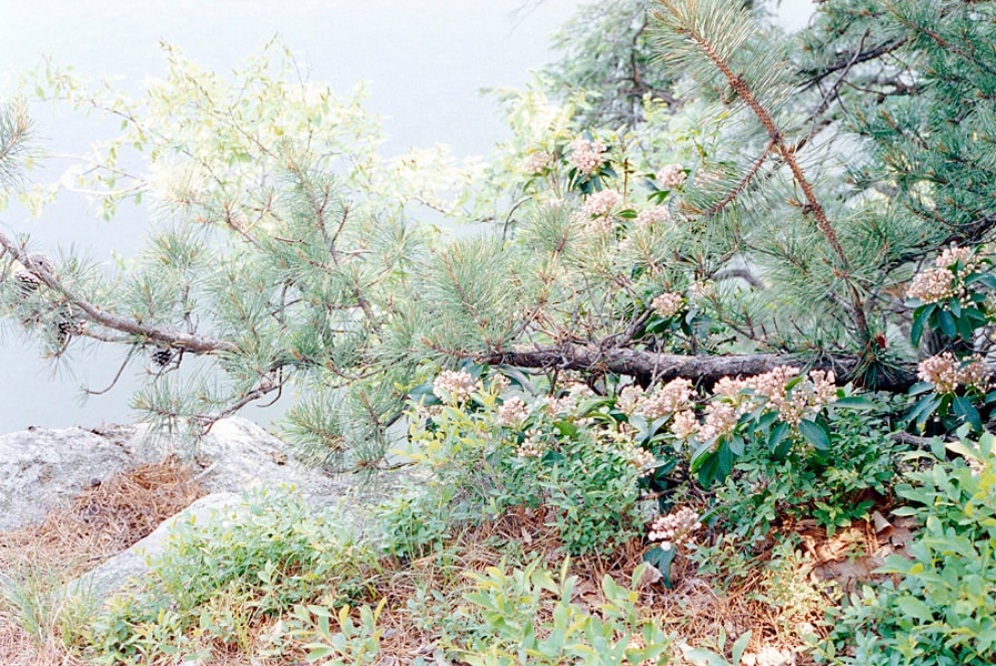 Image 15