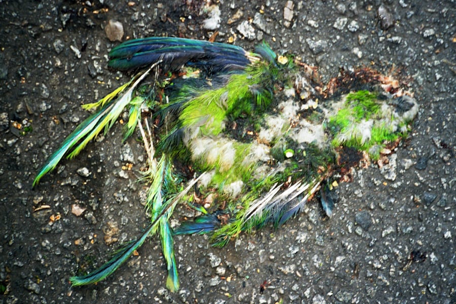 Image 17
