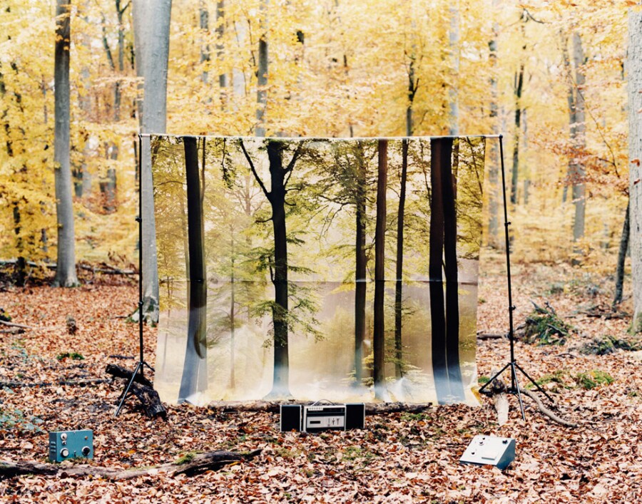 Gr&#233;goire Alexandre 11