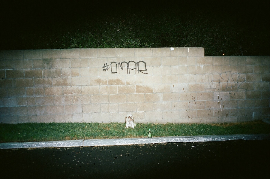 Image 13