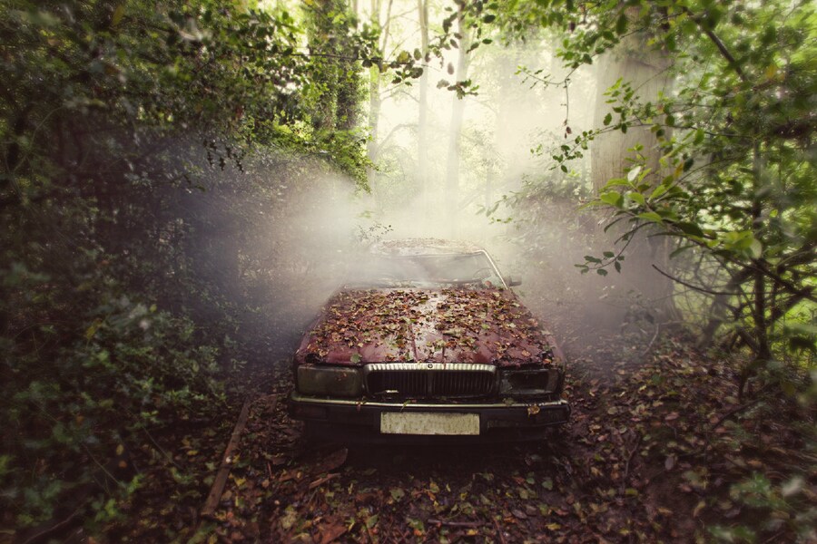 Jaguar Mist - Gina Soden 12