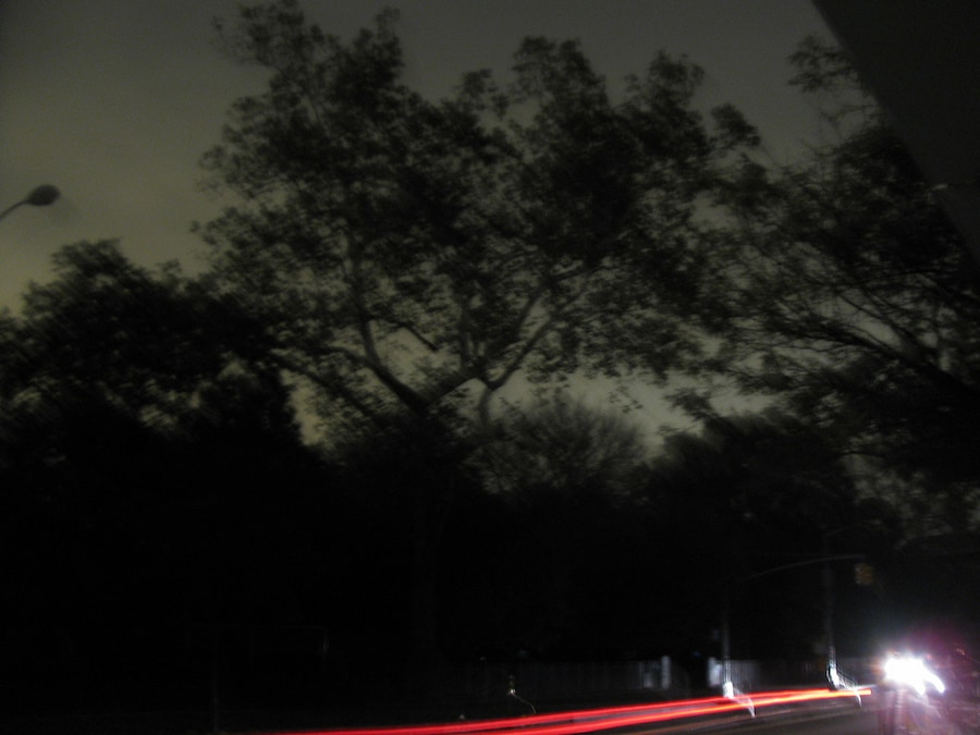Dark Park, shot by edenpictures 4