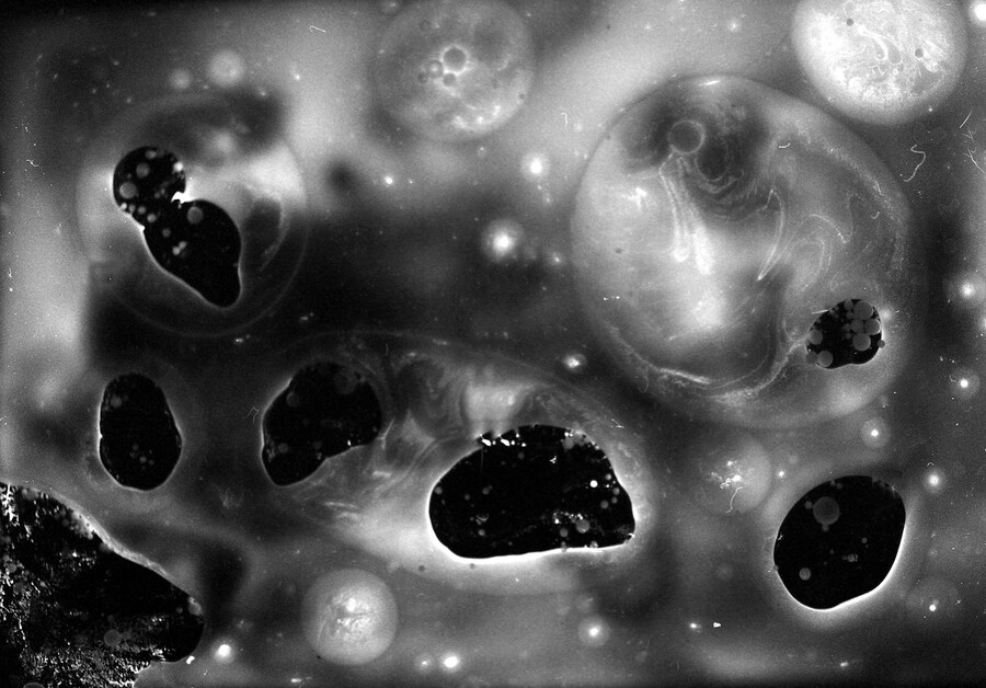 cosmos