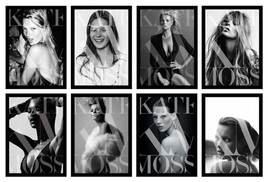 KMoss covers grid 6