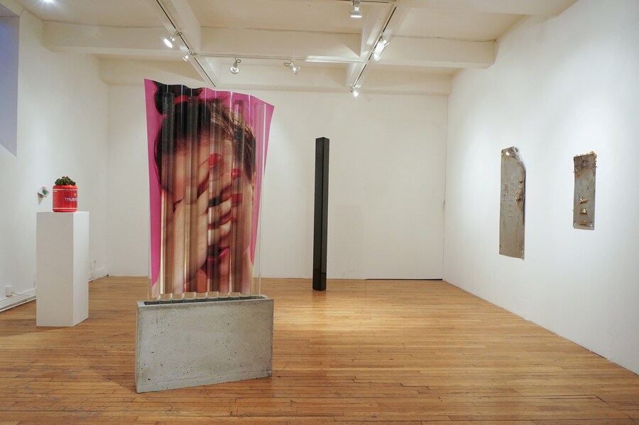 HEALTH installation view 3