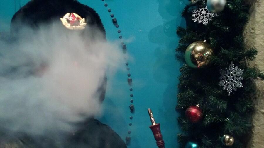 WP_20121206_035 5