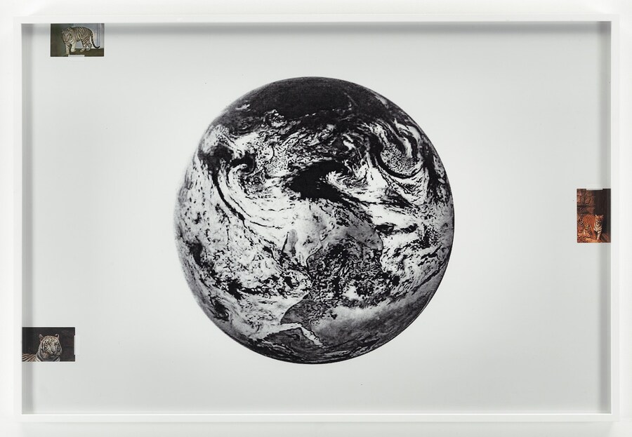 3_AmandaRoss-Ho_Negative_Earth