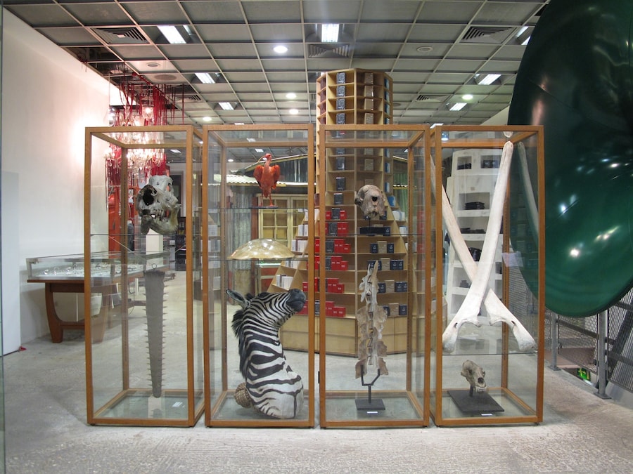 Ground Floor (2) 2