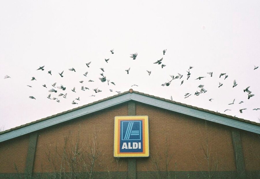 2pigeons 21