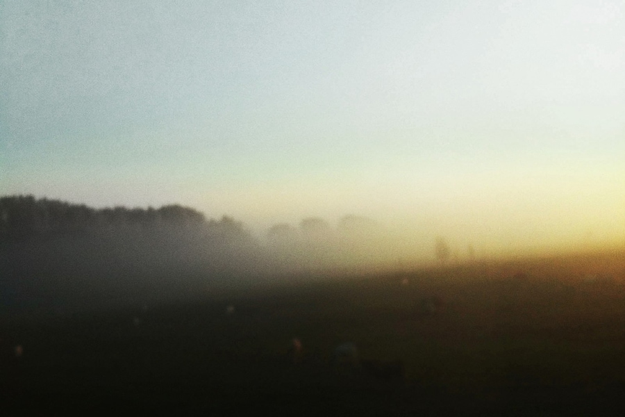 landscapes3-2 12