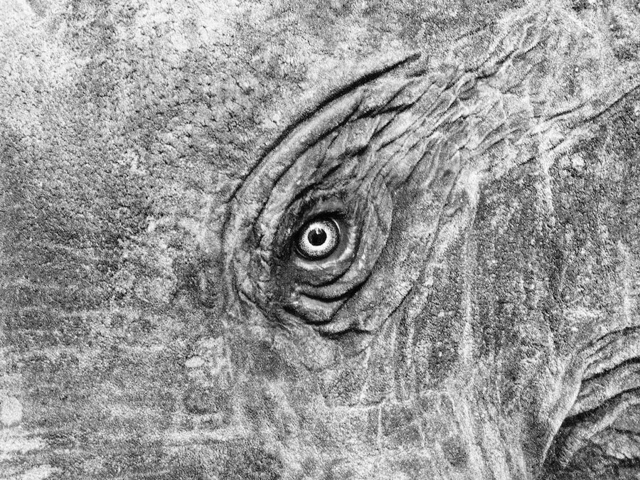 m-lange-another-language-press-2 1