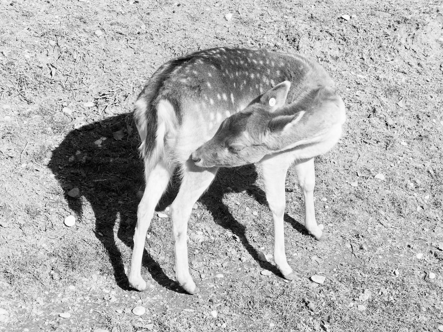 m-lange-another-language-press-4 3