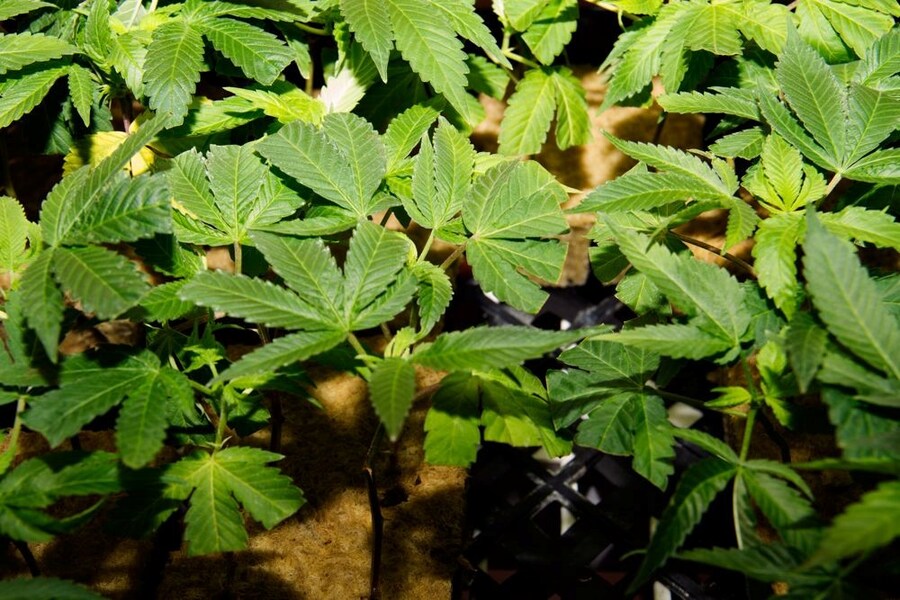 20130501-_MG_2614 10