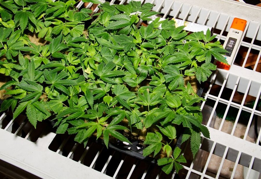 20130501-_MG_2615 11