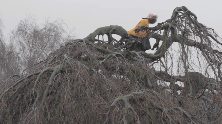 Screen Shot 2013-04-10 at 4.49.23 PM 1