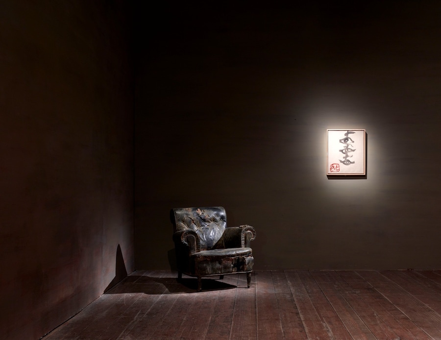 21_tpies_cossos_2011.jpg 3