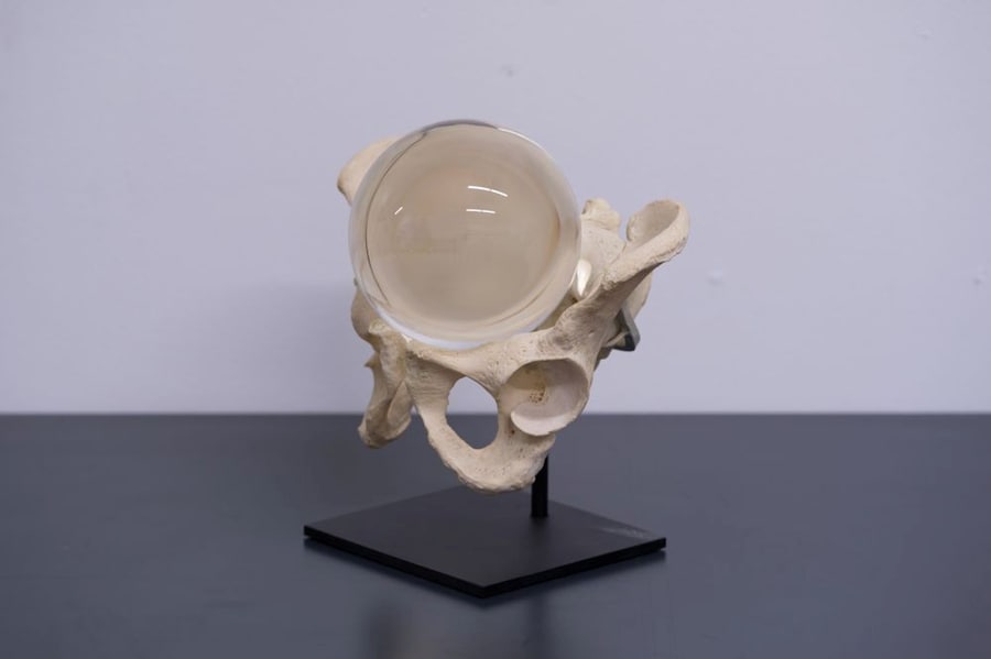 Raised By Wolves, 2013 (AV) 4