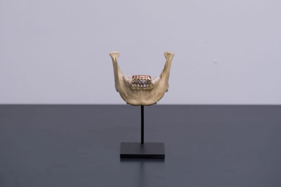 Untitled, (Snow Wolf II) 2013 6