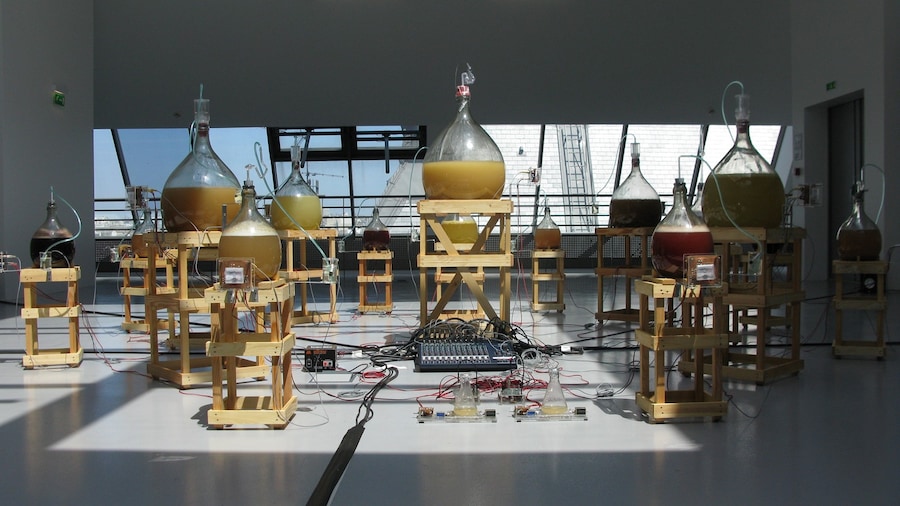 julian-Abraham-fermentation-orchestra-1 9