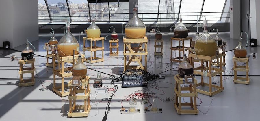 julian-Abraham-fermentation-orchestra-2 10