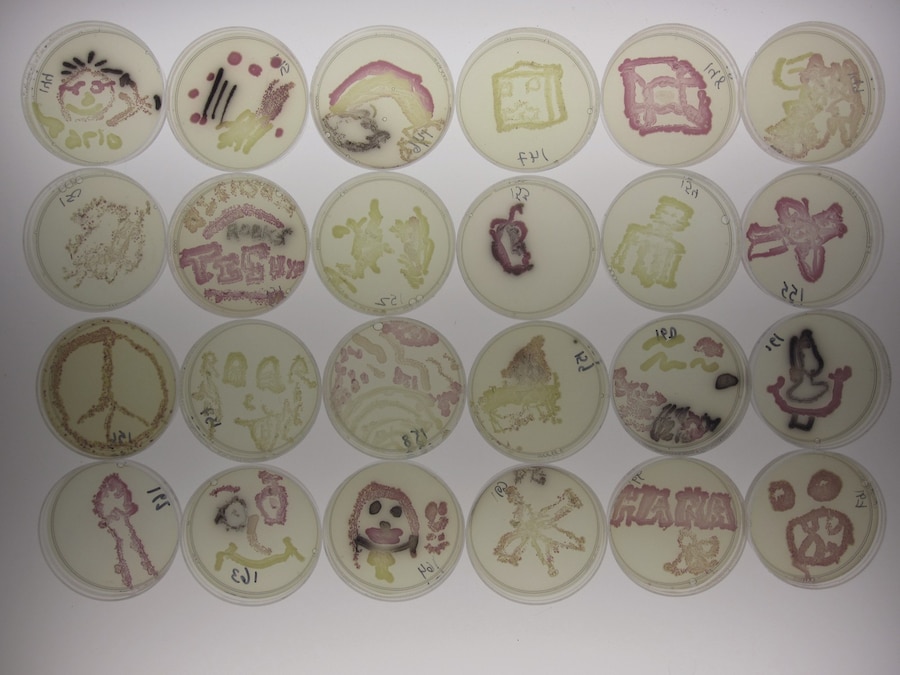 GENSPACE_petri_dish_art 7