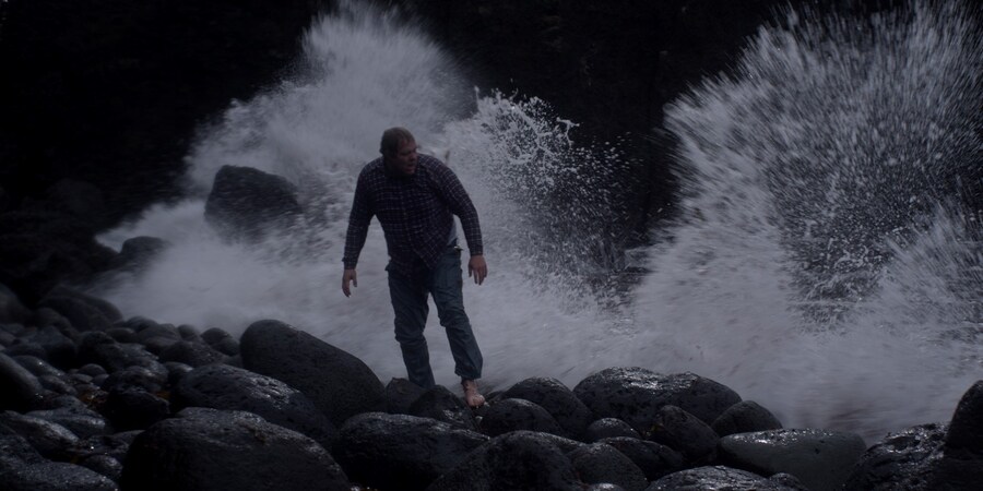 The-Deep-Gulli-on-the-shore 0