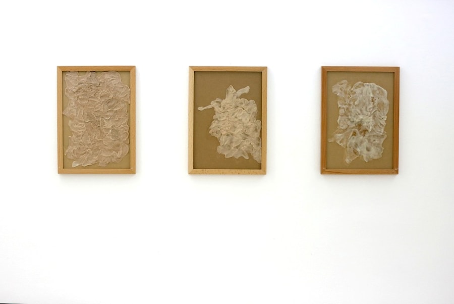 strange fruit_03_04_05_pcj_preteen_mexico 0