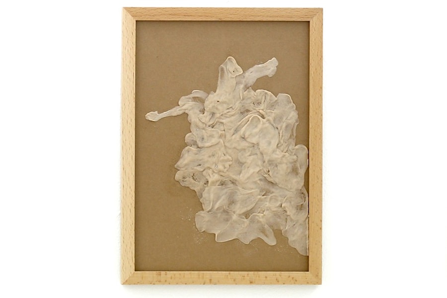 strange fruit_03_pcj_preteen_mexico 3