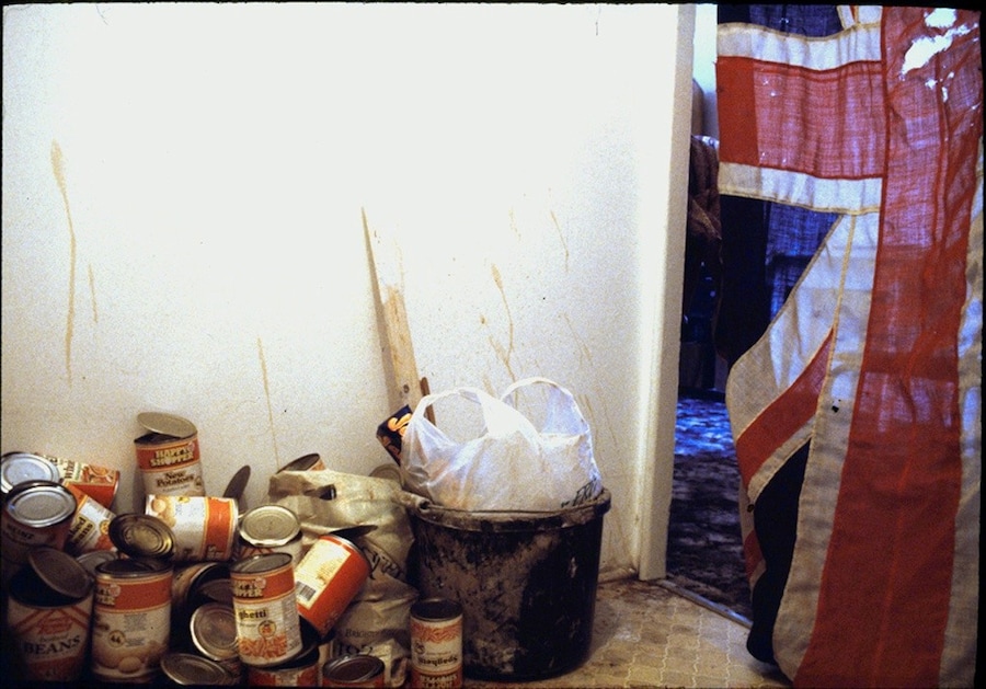 Pigs&#39;Disco.Pics.1 1