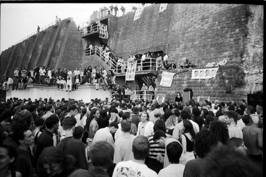 Pigs&#39;Disco.Pics.3 2