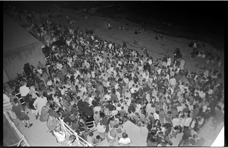 Pigs&#39;Disco.Pics.5 3