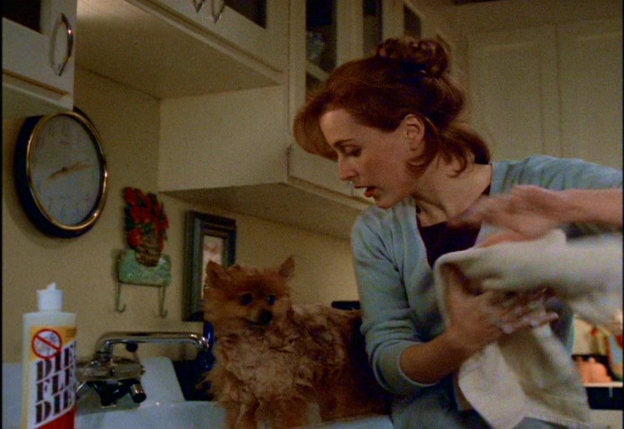 #Dazed93: The X-Files 28