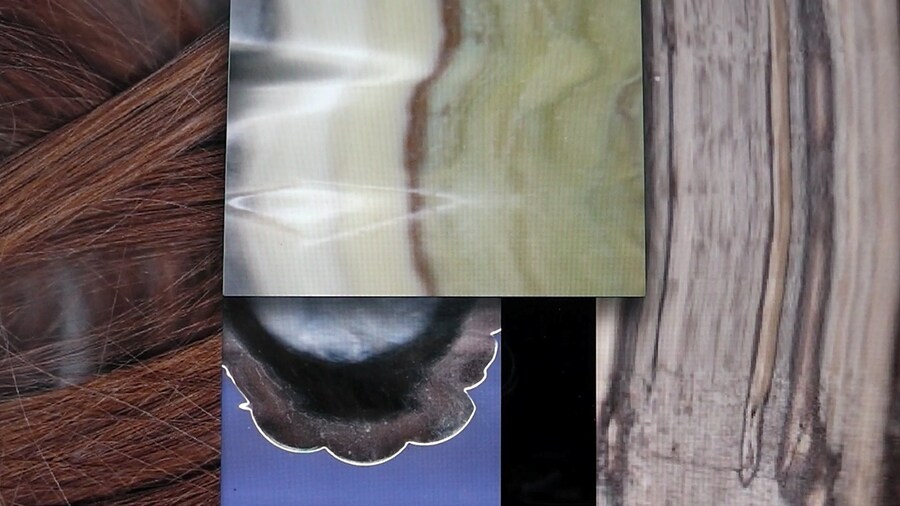 1 The Magic Know-How (2013) 1 0