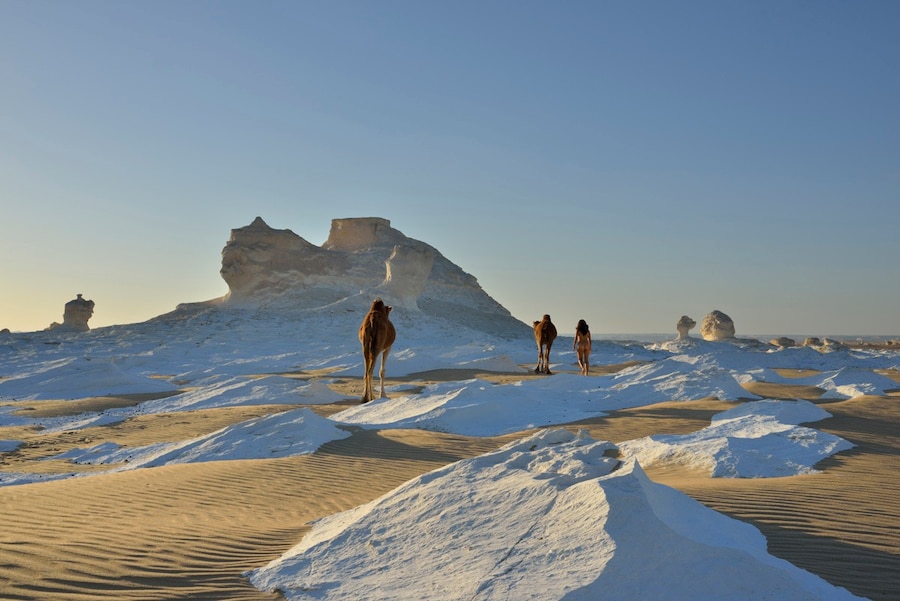 whitedesert3-1200 7