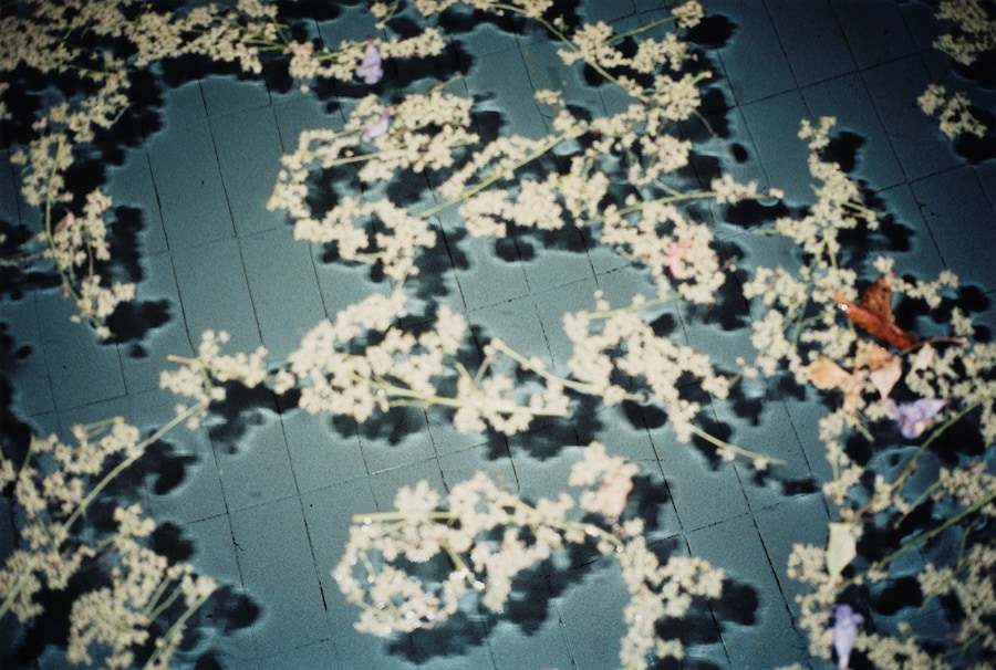 LS_Gallery_09 18