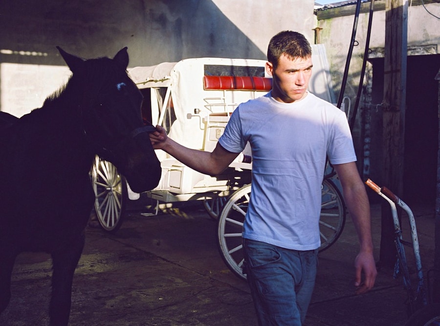 St. Teresa&#39;s Gardens 6