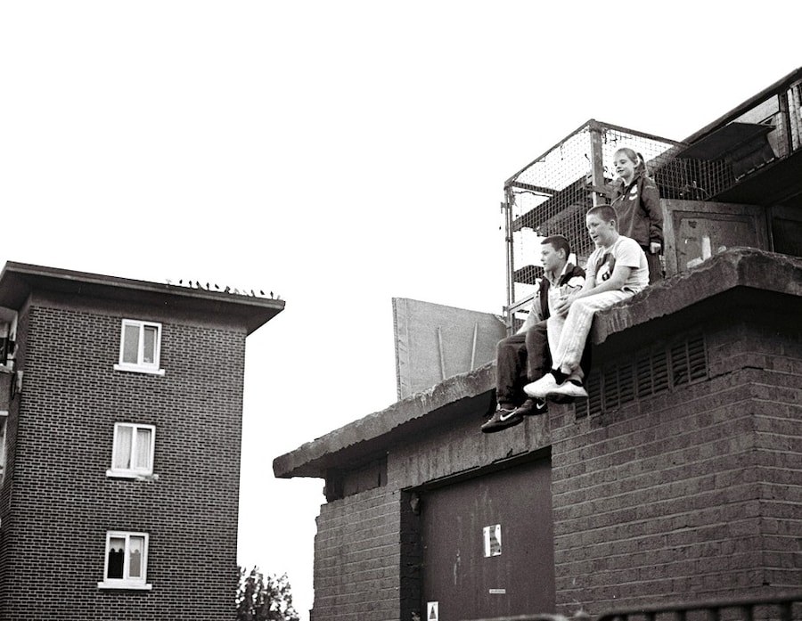 St. Teresa&#39;s Gardens 16