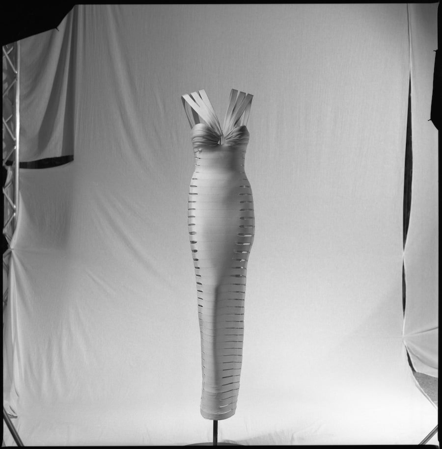 Gallo bandes face (300) 8