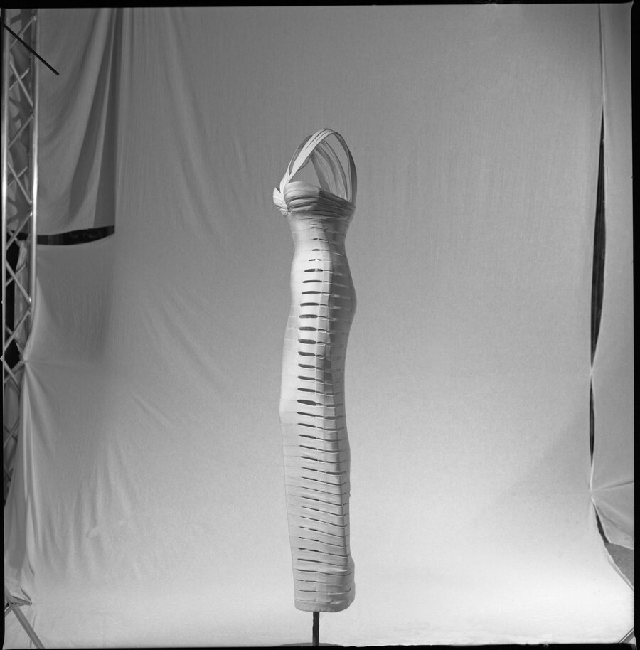 Gallo bandes profil (300) 9